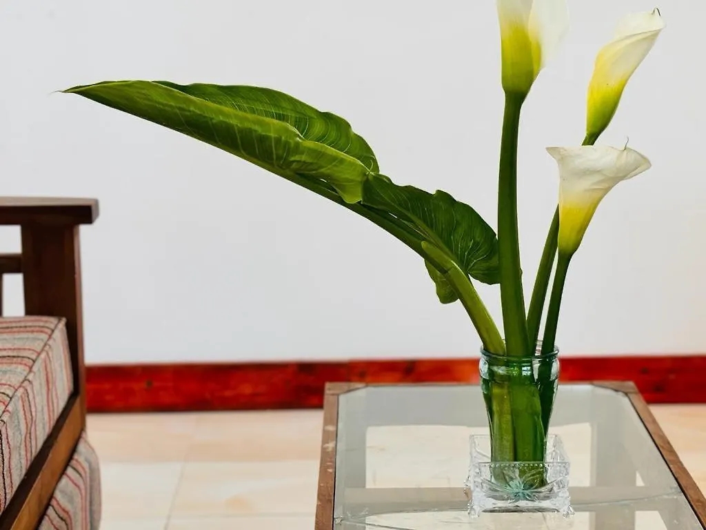 Shalika Home Nuwara Eliya Holiday home