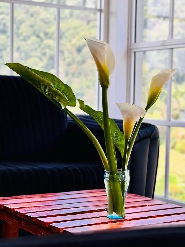 Shalika Home Nuwara Eliya